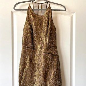 BCBG Max Azria Tenya Brocade and Lace Dress